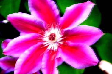 Venti di cambiamento